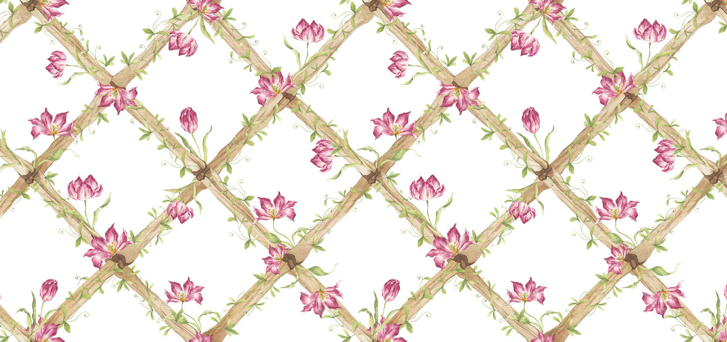 BambooTrellisBorder__Tiger Tulips
Bamboo trellis wallpaper border adorned with raspberry tiger tulips on a heritage-style lattice - ideal for traditional and grandmillennial interiors, and a meaningful gift for baby showers, christenings, birthdays, and early milestones.