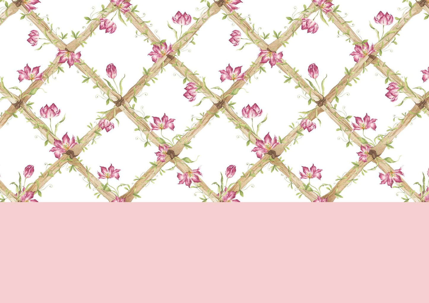 BambooTrellisBorder__Tiger Tulips
Bamboo trellis wallpaper border adorned with raspberry tiger tulips on a heritage-style lattice - ideal for traditional and grandmillennial interiors, and a meaningful gift for baby showers, christenings, birthdays, and early milestones.