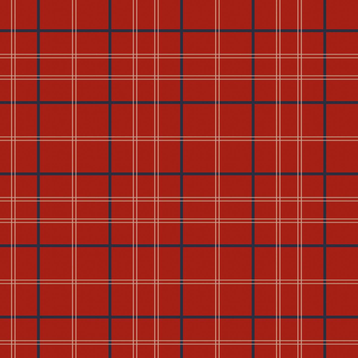 Tartan Photo Mount - picture frame passepartout - oval aperture - Coeur et Maman