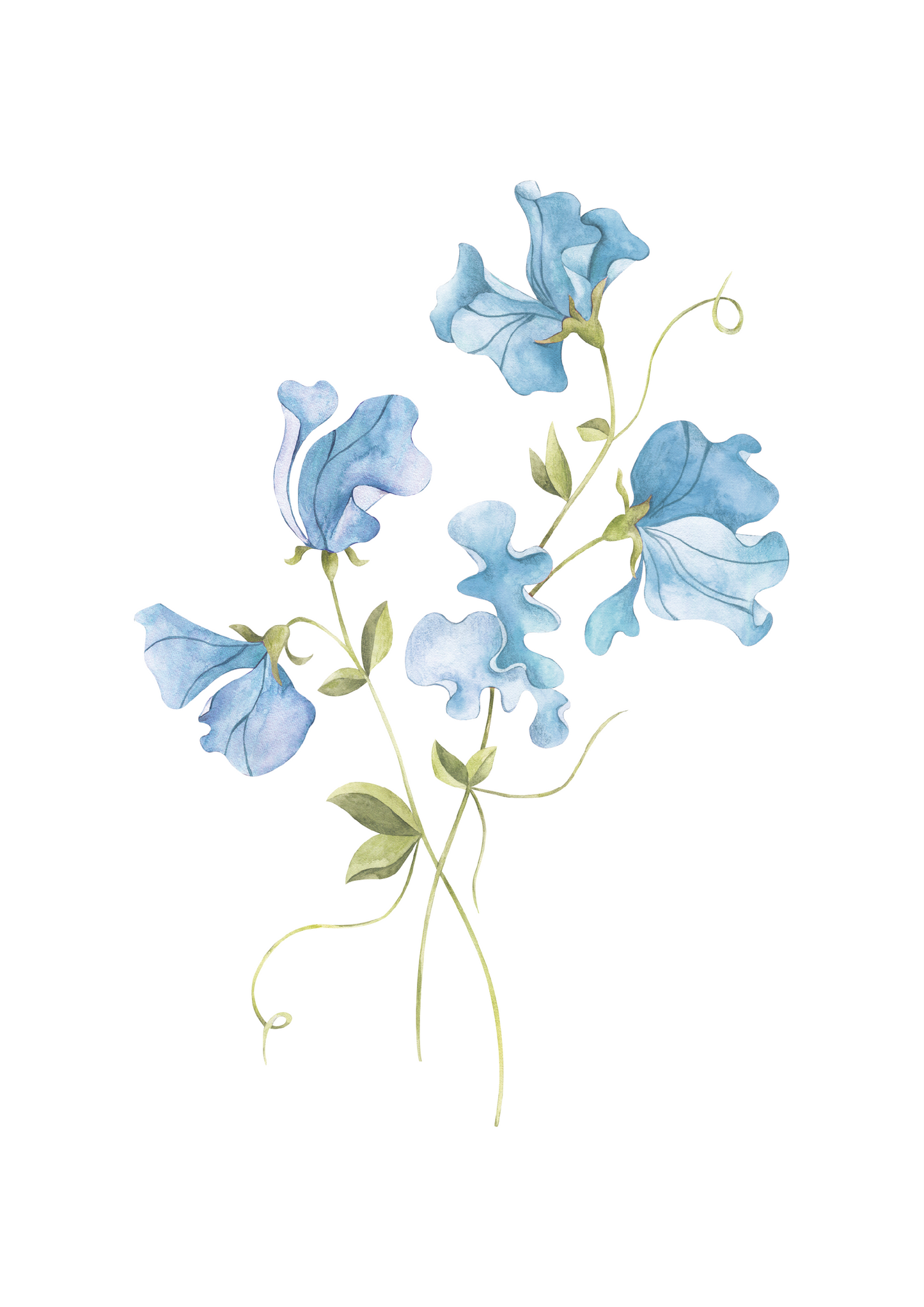 Sweet Pea Nursery Art Print Blue