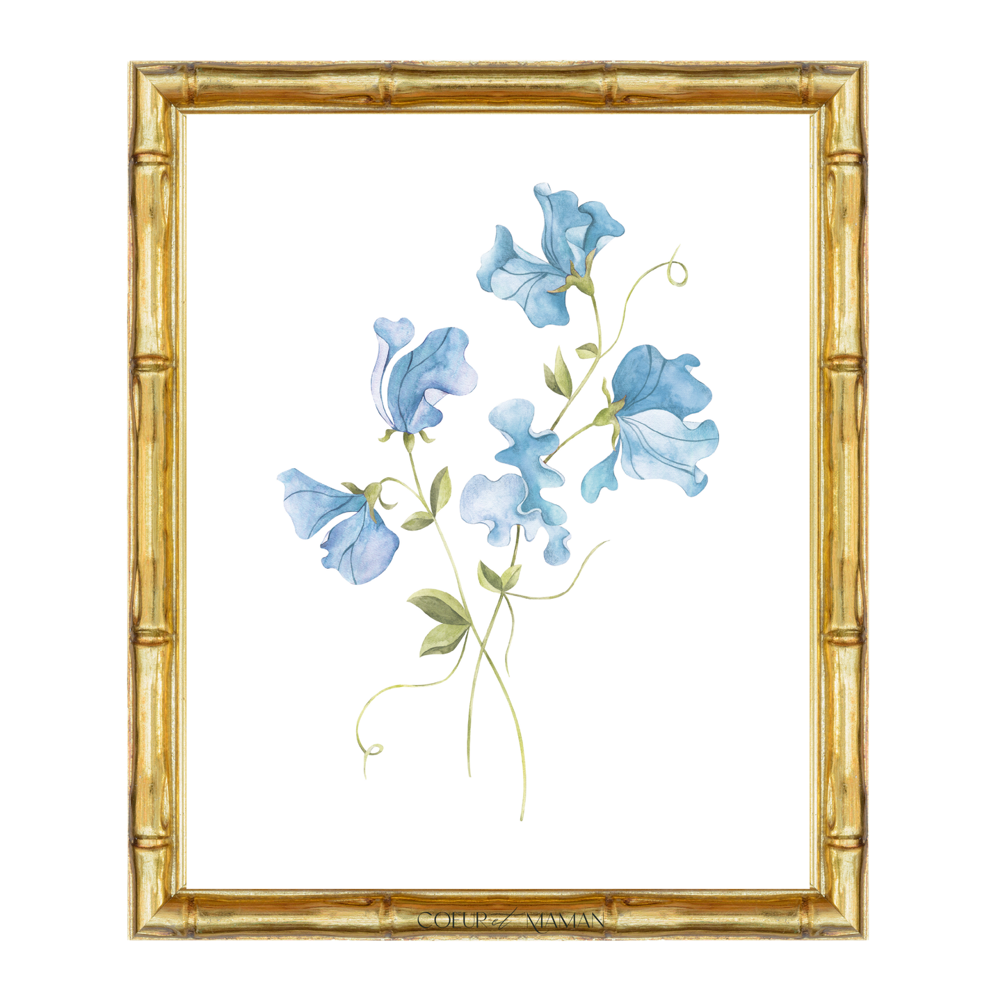 Sweetpea__Blue
Watercolour blue sweet pea flower nursery art print – an elegant botanical illustration ideal for grandmillennial and traditional interiors. A thoughtful gift for new babies, birthdays, christenings, or baby showers.