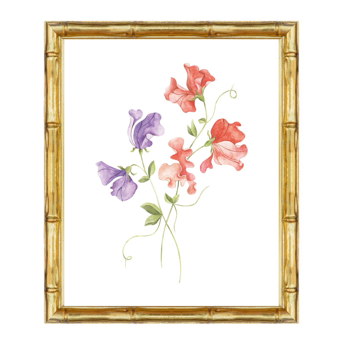 Sweetpea__Coral/Lilac
Watercolour coral and lilac sweet pea flower nursery art print – a romantic floral design perfect for grandmillennial and traditional interiors. A timeless gift for baby girls, suited for birthdays, christenings, and baby showers.