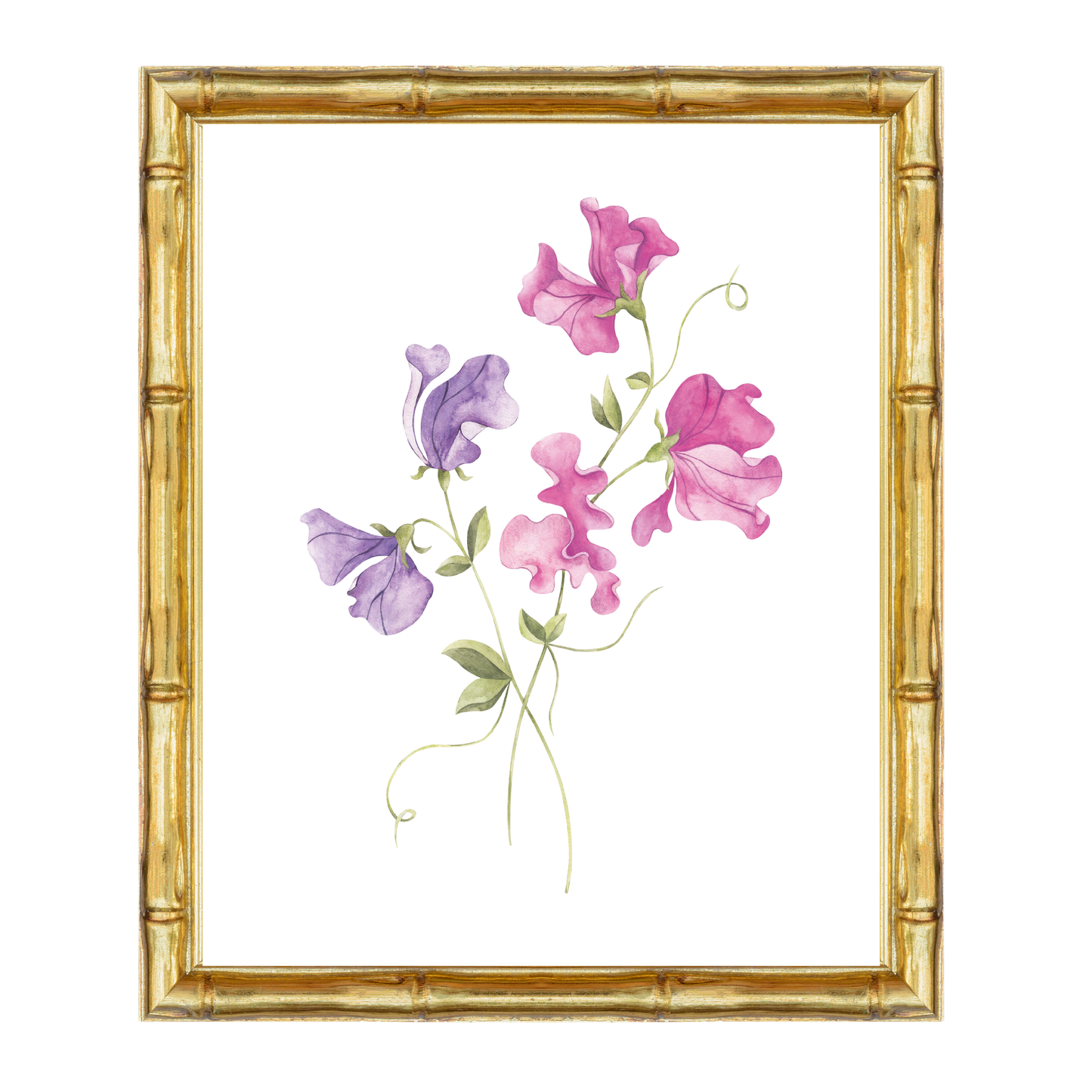 Sweetpea__Pink/lilac
Watercolour pink and lilac sweet pea flower nursery art print – a delicate botanical illustration ideal for grandmillennial and traditional interiors. A beautiful gift for birthdays, christenings, baby showers, or to add charm to a little girl’s room.
