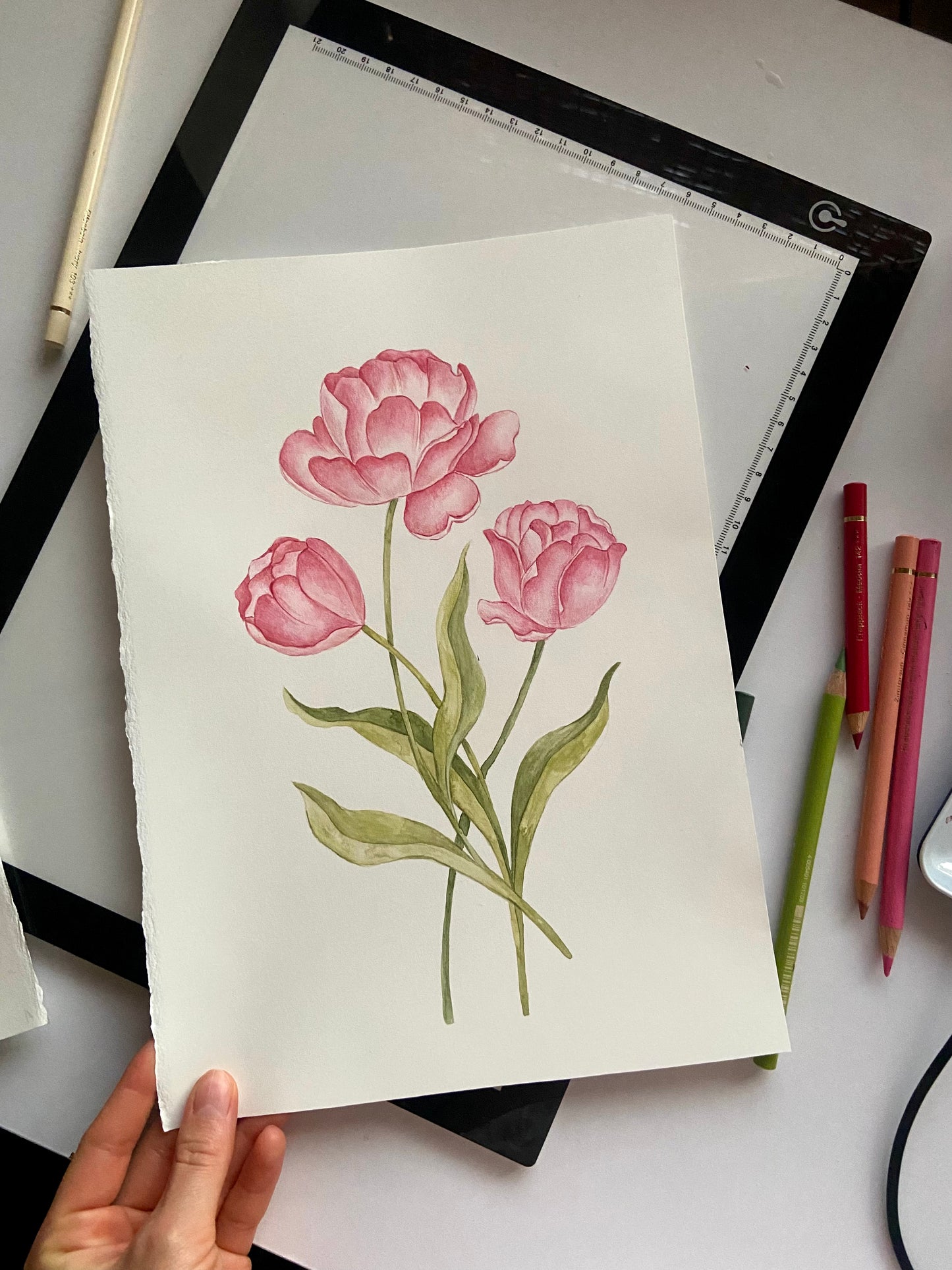 Tulips Nursery Art Print