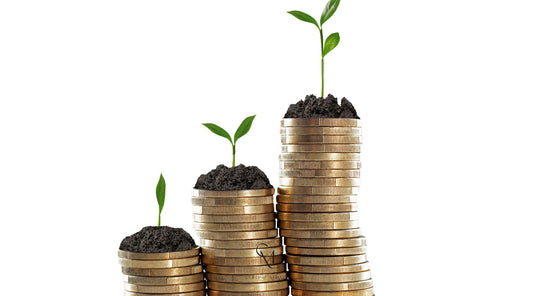 Investing With Purpose: Why Small, Private Investors Have a Big Role to Play