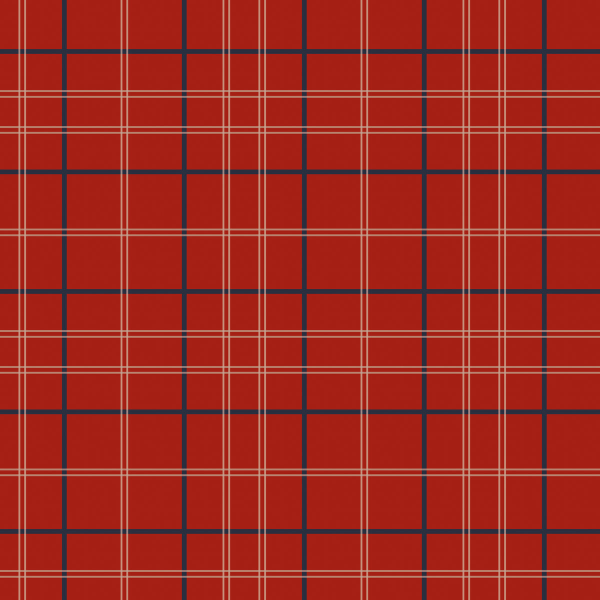 RED TARTAN PHOTO MATS