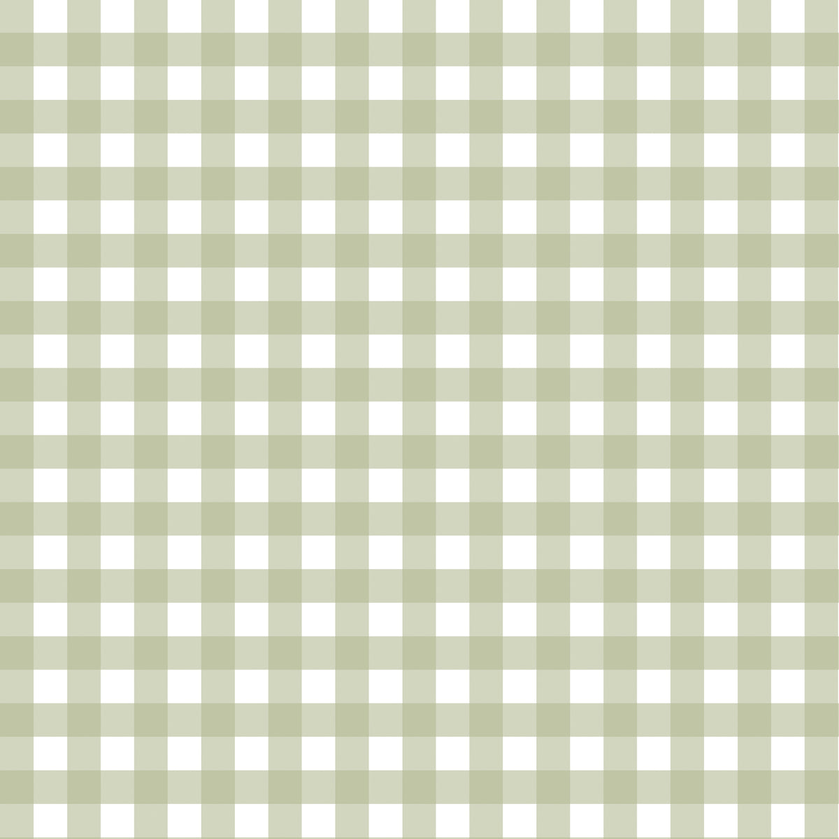 GINGHAM PHOTO MATS