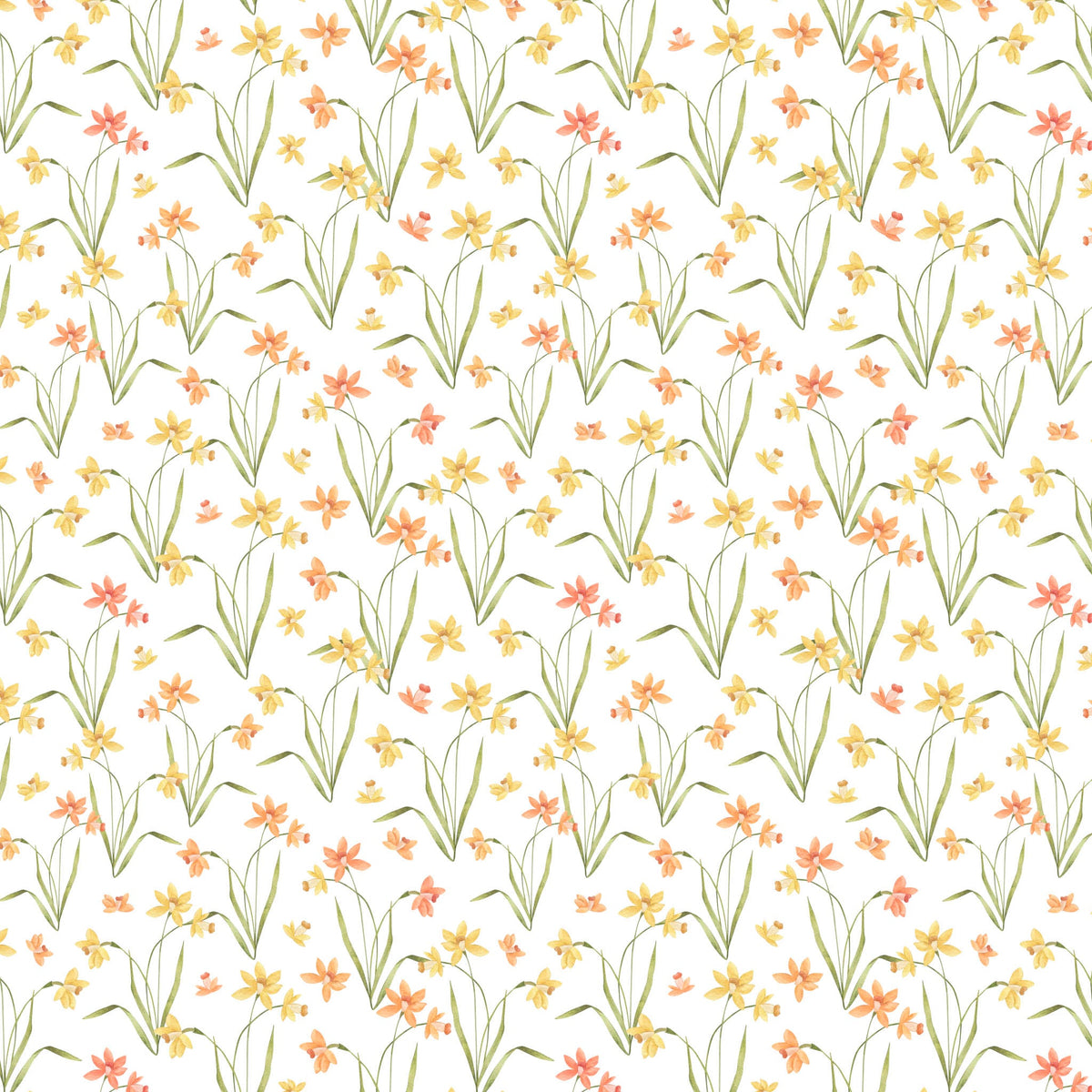 Spring Edit - Daffodils