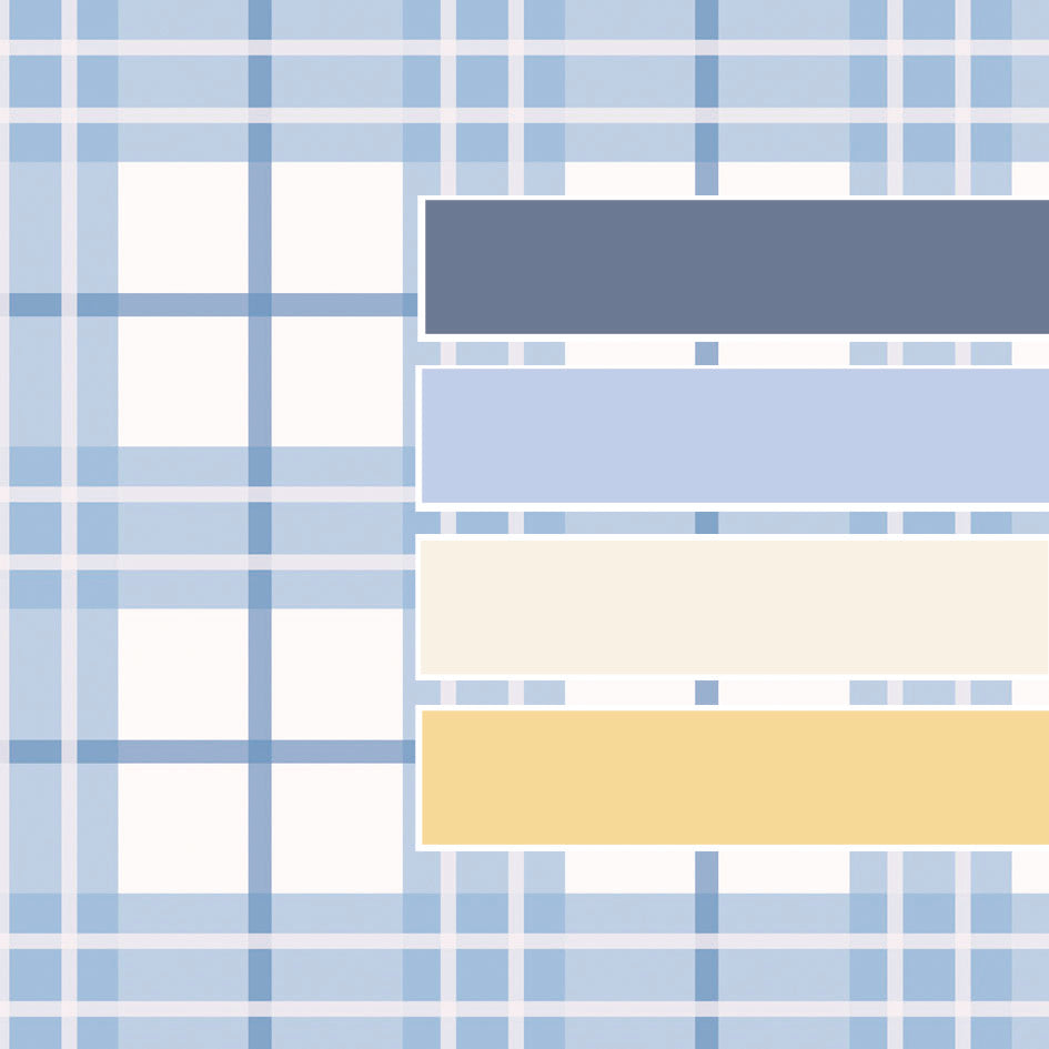 TartanBorder__Blue