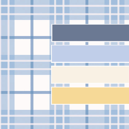 TartanBorder__Blue