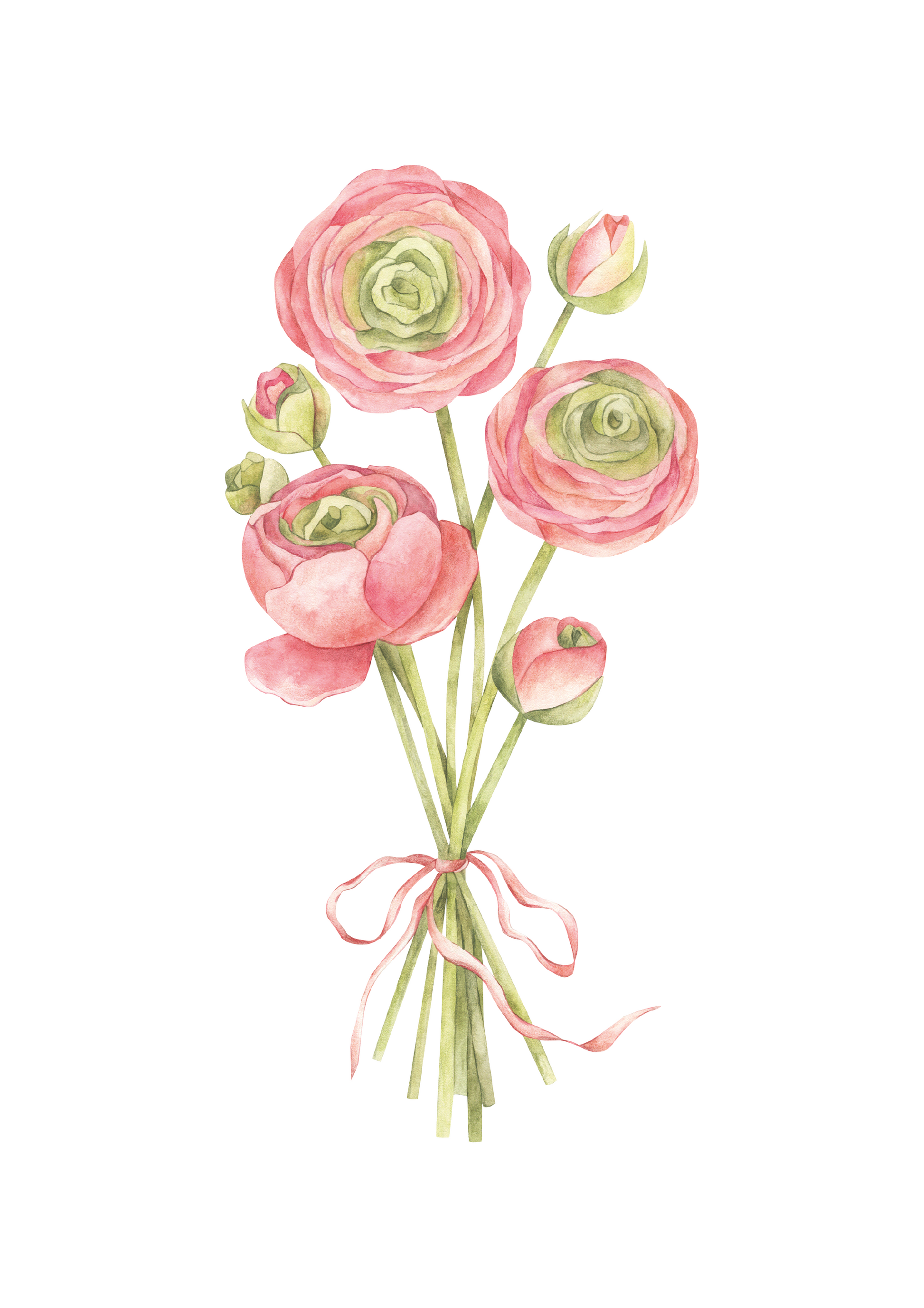 CORAL RANUNCULUS NURSERY ART PRINT