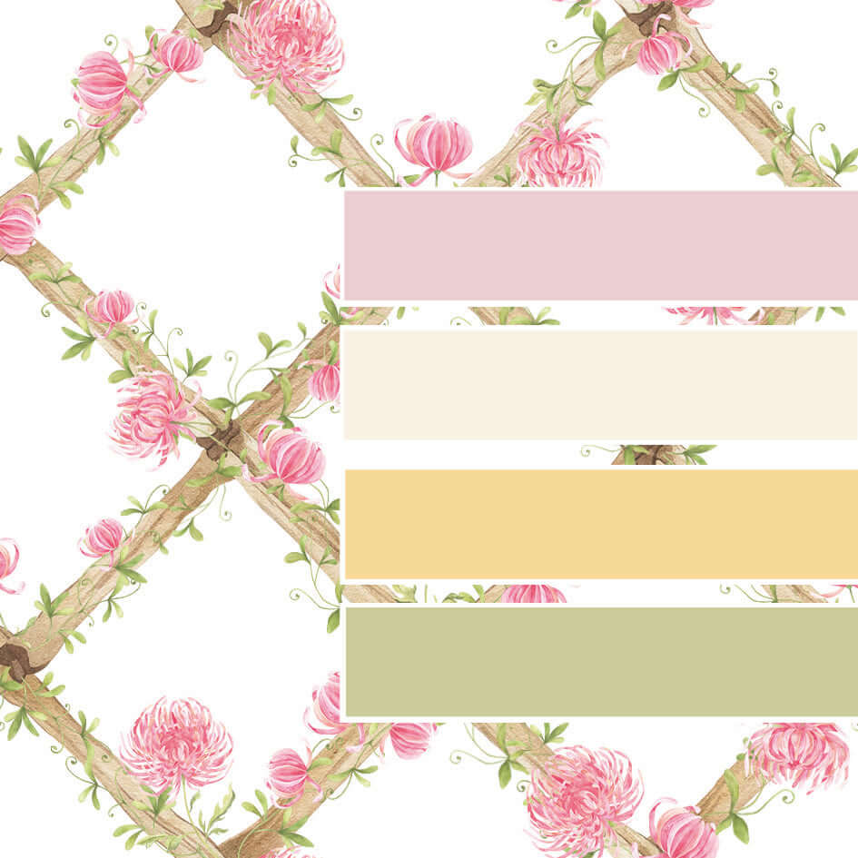 Chrysanthemums Bamboo Trellis Wallpaper Border