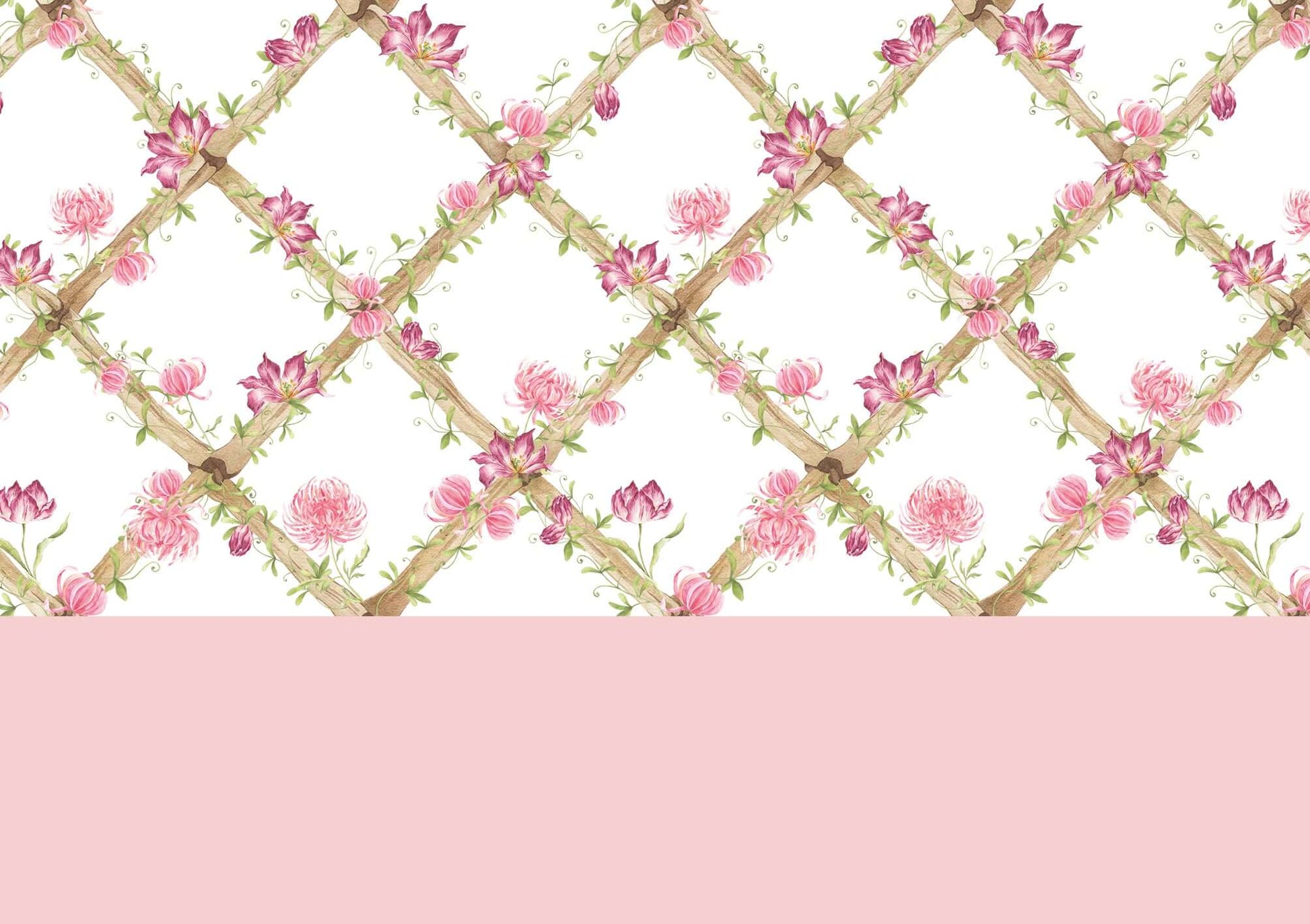 Chrysanthemums & Tiger Tulips Bamboo Trellis Wallpaper Border