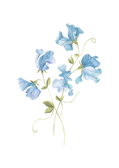Sweet Pea Nursery Art Print Blue