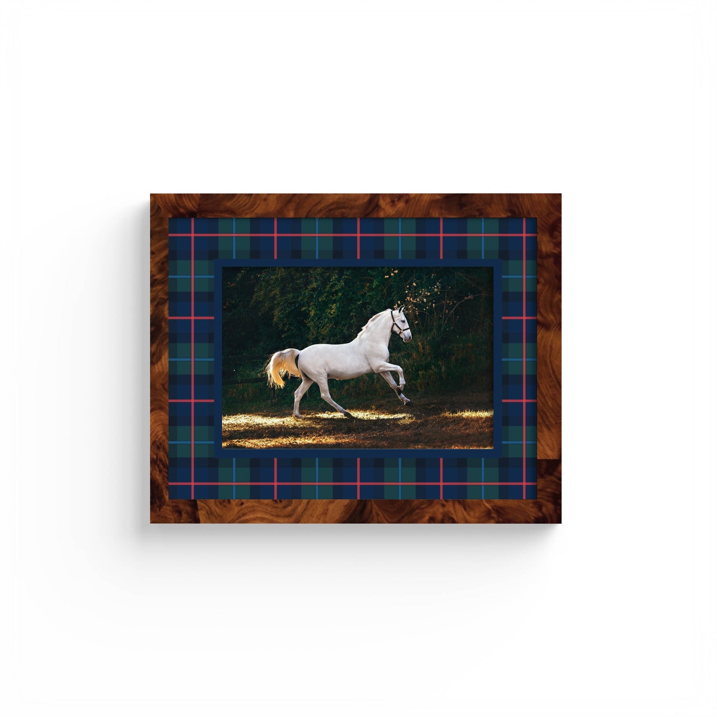 Campbell of Cawdor Tartan Photo Mount - custom photo mat for framing - equestrian gifts - burlwood frame - wall hanging - Coeur et Maman