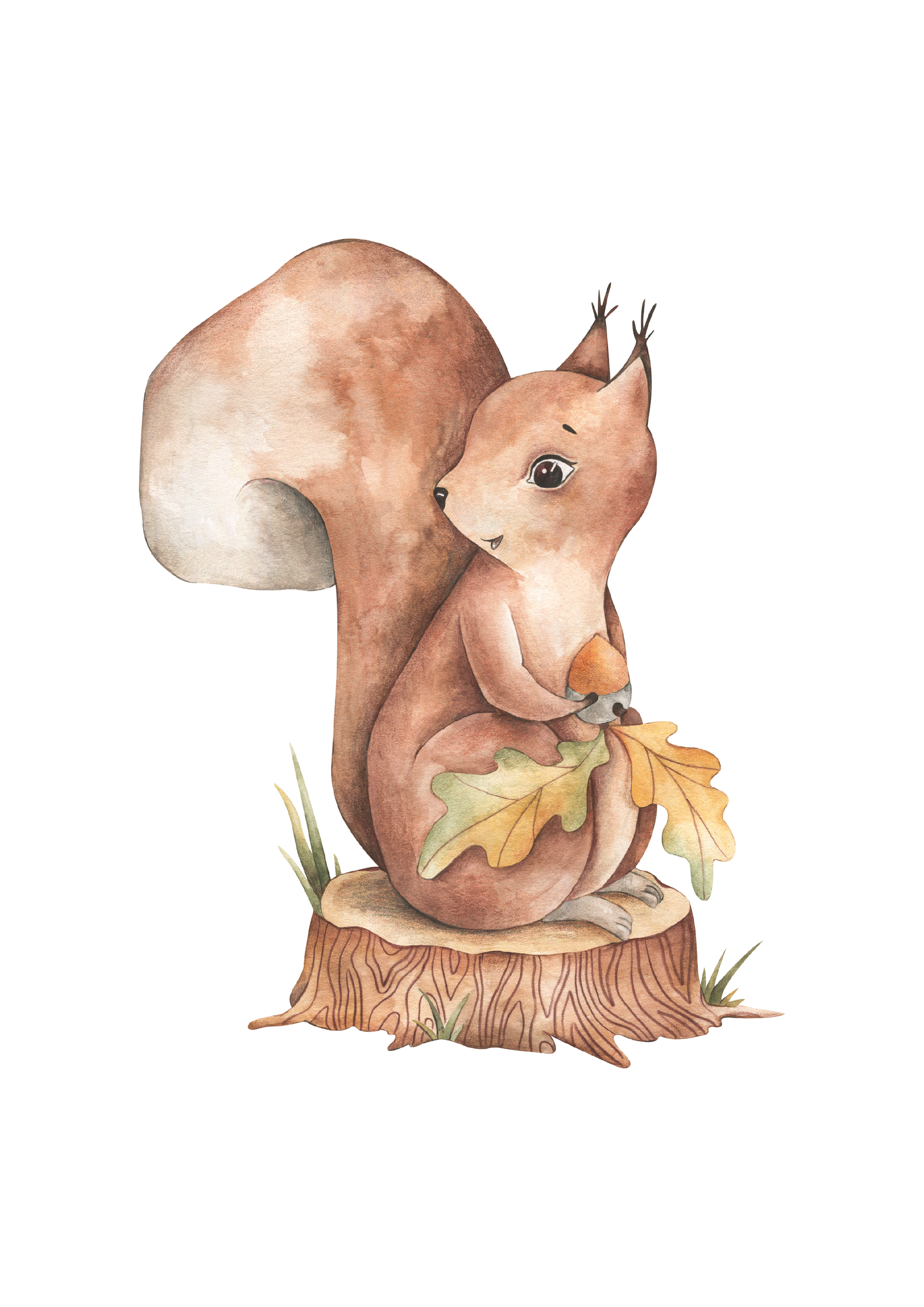 Watercolour red squirrel nursery art print – a sweet woodland animal illustration perfect for grandmillennial and traditional interiors. A charming gift for baby showers, christenings, birthdays, or to add warmth to a nature-inspired nursery.