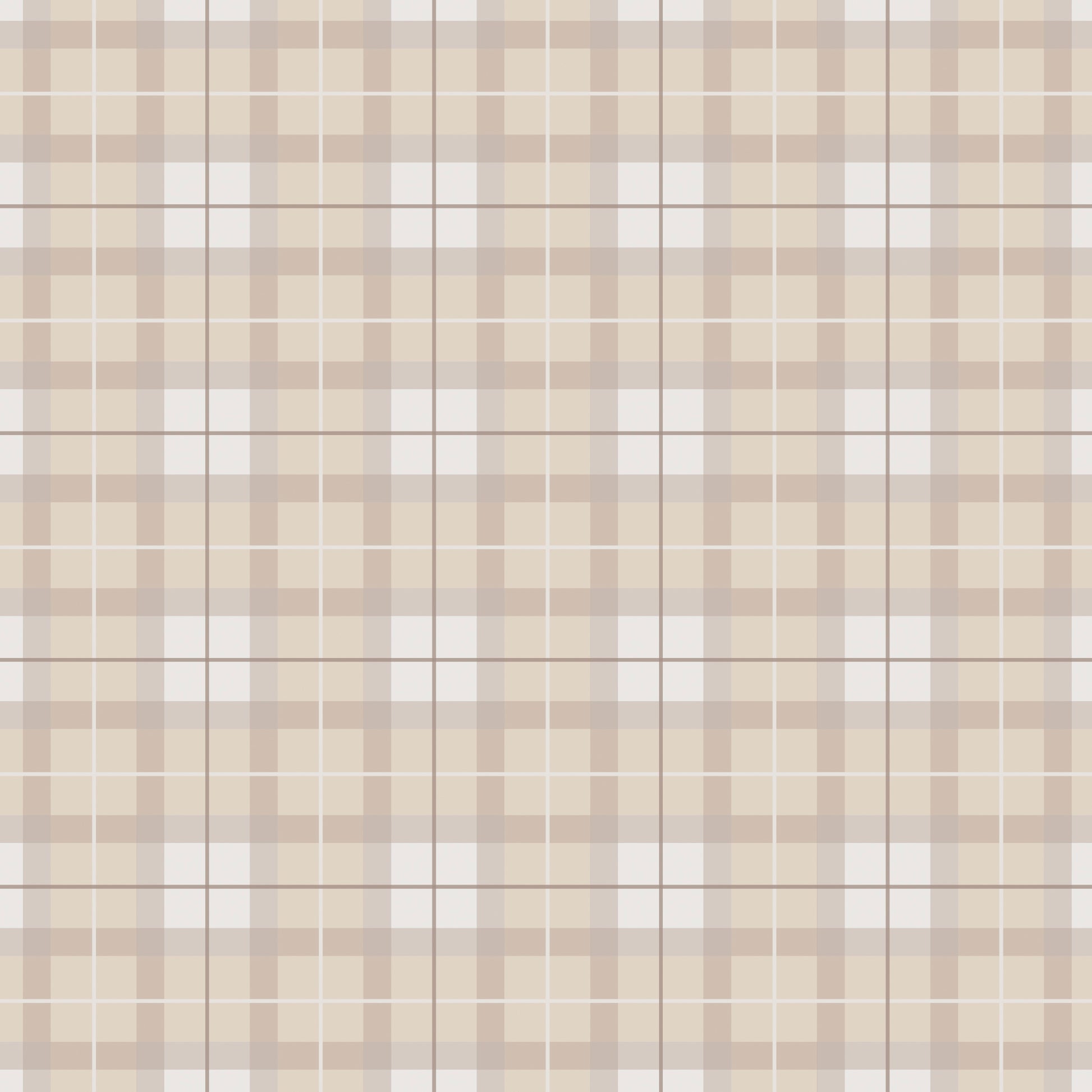 Campbell__Taupe__Rectangle

Campbell of Cawdor tartan picture frame mat board in taupe. Perfect heirloom gift for special occasions baby showers, birthdays, christenings, anniversaries, Father's Day, Mother's Day and Christmas. Suitable for classic interiors and grandmillennial interiors. 