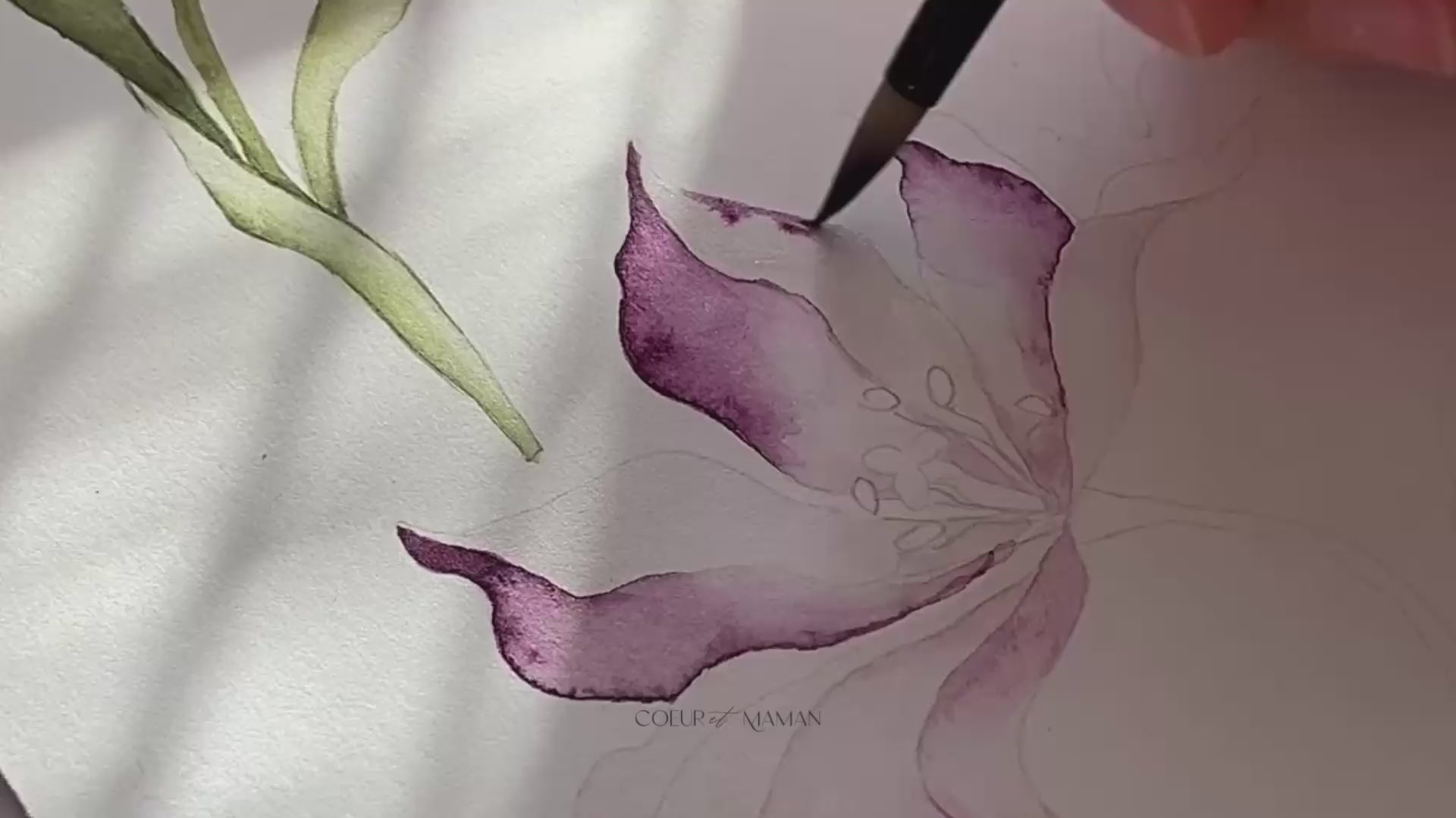Load video: Tradition Re-imagined: Wallpaper Borders | Coeur et Maman
