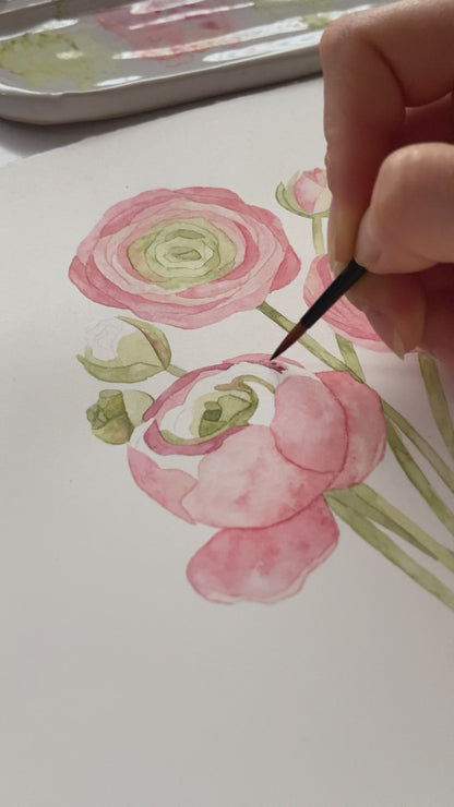 Ranunculus Nursery Art Print